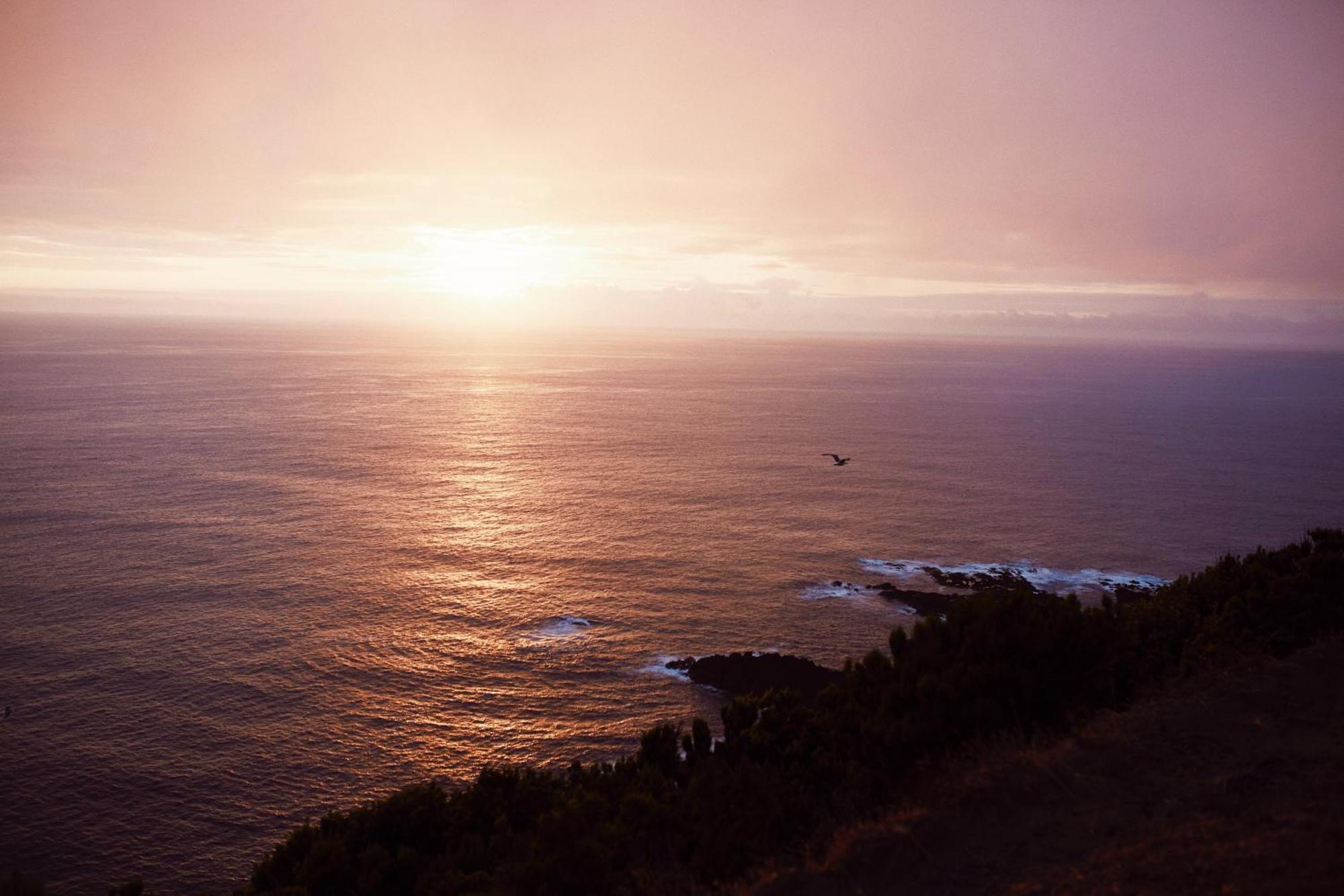 Salt Lips Surf & Coworking Azores Ponta Delgada Exterior foto